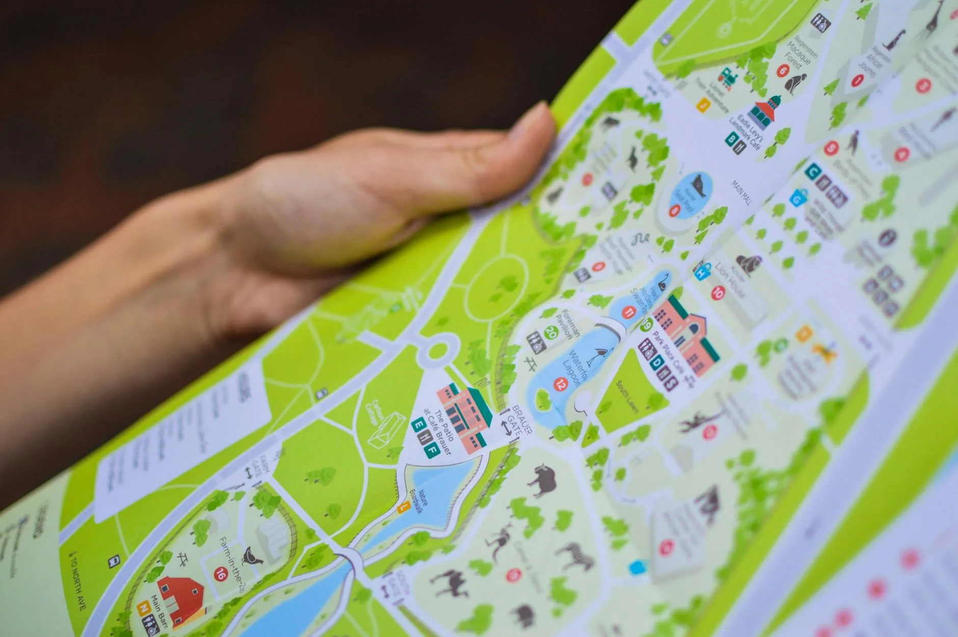 Dłoń trzymająca kolorową mapę jako symbol planowania dojazdu